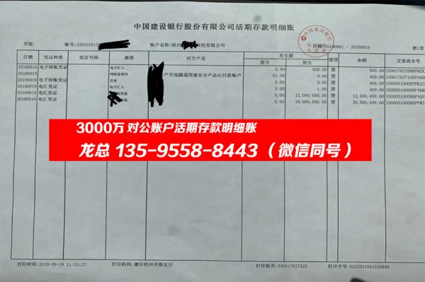 3000万建行对公账户活期存款明细账