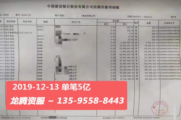 5亿建行企业账户活期存款明细账